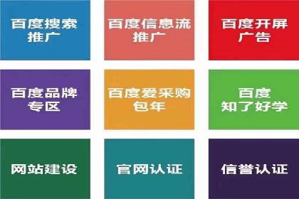 解析sem代运营公司经典案例：如何实现ROI最大化